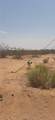 306-29-004 Chino Drive - Photo 4