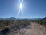 244-08-007 Allison Drive - Photo 21