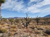 336-09-421A Tamarisk & Rainbow - Photo 10