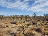 336-09-421A Tamarisk & Rainbow - Photo 11
