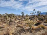 336-09-421A Tamarisk & Rainbow - Photo 12