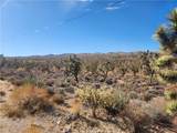 336-09-421A Tamarisk & Rainbow - Photo 2