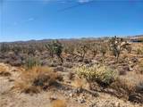 336-09-421A Tamarisk & Rainbow - Photo 3