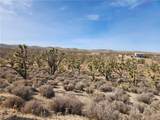 336-09-421A Tamarisk & Rainbow - Photo 4