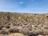 336-09-421A Tamarisk & Rainbow - Photo 5