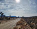 336-09-421A Tamarisk & Rainbow - Photo 6
