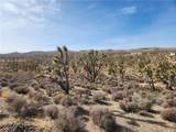 336-09-421A Tamarisk & Rainbow - Photo 7