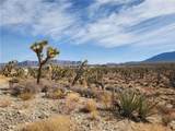 336-09-421A Tamarisk & Rainbow - Photo 9