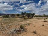 4229 Concho Road - Photo 19