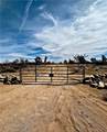 21038 Cheyenne Road - Photo 96
