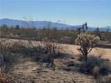 242-12-015 Sundance Kid Road - Photo 1