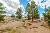 1315 Tonto Road - Photo 55