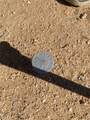 242-10-007 Gene Autry Road - Photo 11