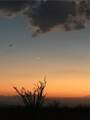 242-10-007 Gene Autry Road - Photo 12