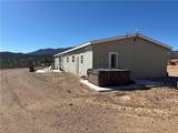 10849 Pine Valley Drive - Photo 14