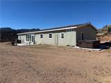 10849 Pine Valley Drive - Photo 15