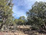 1022 Duffi's Bluffs Road - Photo 10