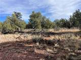 1022 Duffi's Bluffs Road - Photo 12