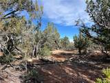 1022 Duffi's Bluffs Road - Photo 15