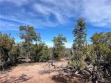1022 Duffi's Bluffs Road - Photo 17
