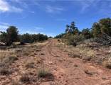 1022 Duffi's Bluffs Road - Photo 18