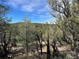 1022 Duffi's Bluffs Road - Photo 3