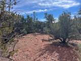 1022 Duffi's Bluffs Road - Photo 4