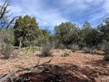 1022 Duffi's Bluffs Road - Photo 5