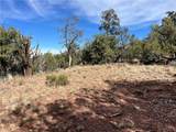 1022 Duffi's Bluffs Road - Photo 7