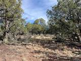 1022 Duffi's Bluffs Road - Photo 9