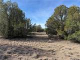 40087 Salty Branch Trail - Photo 14