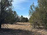 40087 Salty Branch Trail - Photo 15