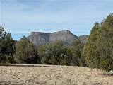 40087 Salty Branch Trail - Photo 28