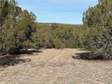 40087 Salty Branch Trail - Photo 37