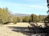 40087 Salty Branch Trail - Photo 41