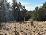 40087 Salty Branch Trail - Photo 43