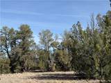 40087 Salty Branch Trail - Photo 49