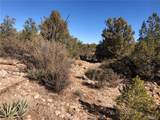320 Acres Cross Mountain Trout Creek - Photo 21