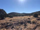 320 Acres Cross Mountain Trout Creek - Photo 24