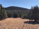 320 Acres Cross Mountain Trout Creek - Photo 25