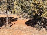 320 Acres Cross Mountain Trout Creek - Photo 32