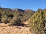 320 Acres Cross Mountain Trout Creek - Photo 35