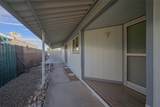 901 Palo Verde Drive - Photo 18
