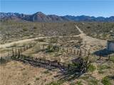 10887 Duncan Road - Photo 41