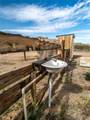 9366 Pala Drive - Photo 33