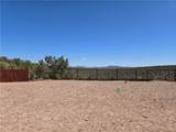 18205 Globe Willow Drive - Photo 21