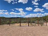 18205 Globe Willow Drive - Photo 22