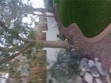 1811 Escalera Circle - Photo 27