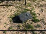 6779 Bolsa Dr - Photo 8