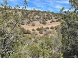 352-28-009 Lookout Canyon Road - Photo 5